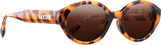 Nectar Sunglasses V2 Atypical Brown Tort/Amber