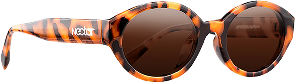 Nectar Sunglasses V2 Atypical Brown Tort/Amber
