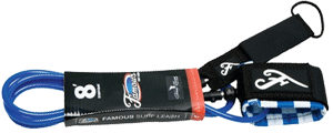 Famous Curran Everyday 6' Blue Leash